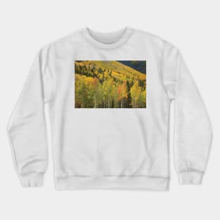 Quaking Aspen Trees In Autumn Santa Fe National Forest Near Santa Fe Crewneck Sweatshirt